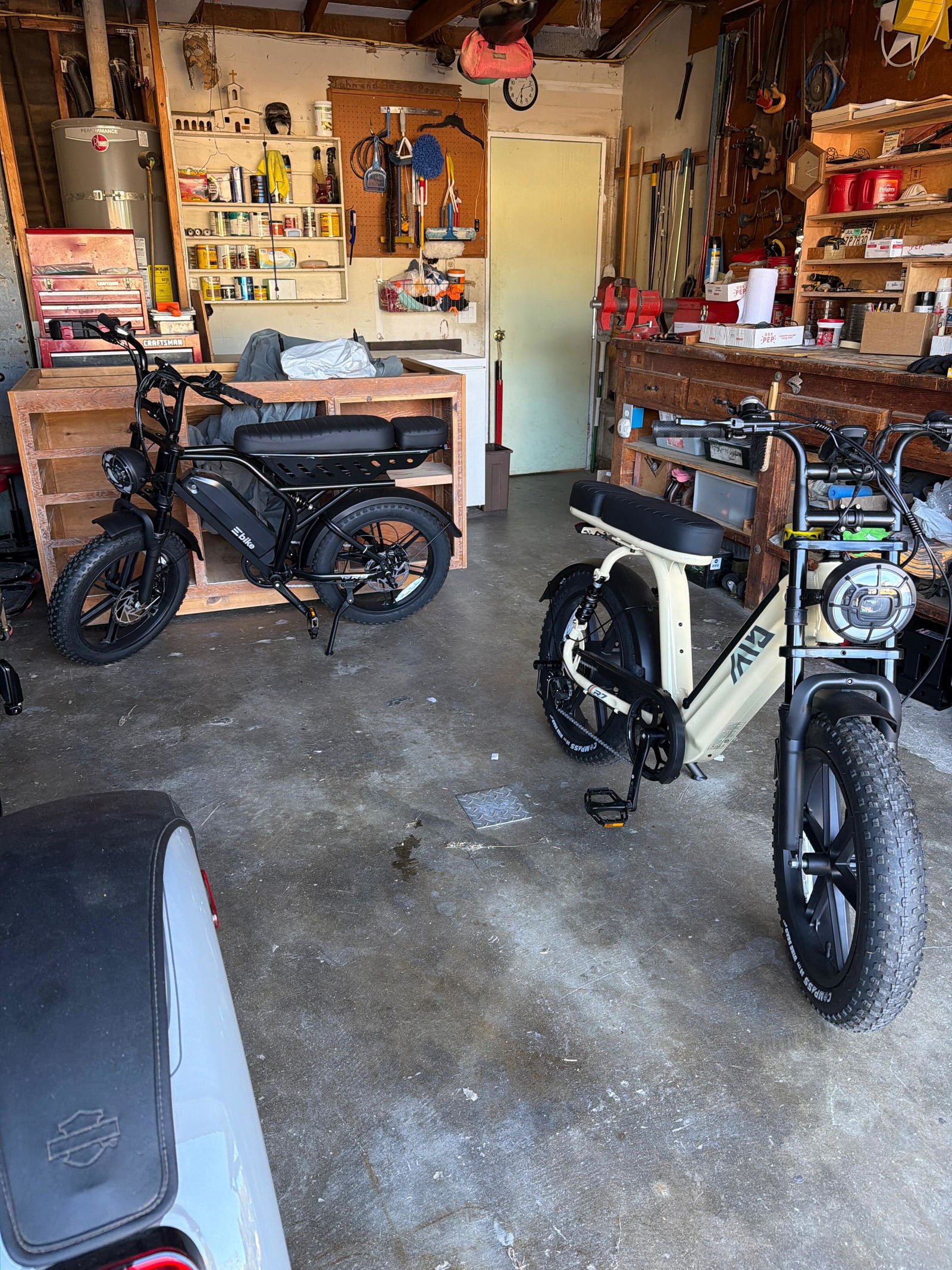 Rider photo 1